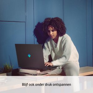 HP OMEN 17-ck0977nd Intel® Core™ i7 i7-11800H Laptop 43,9 cm (17.3") Full HD 16 GB DDR4-SDRAM 1 TB SSD NVIDIA GeForce RTX 3070 Wi-Fi 6 (802.11ax) Windows 11 Home Zwart (0196068940423)